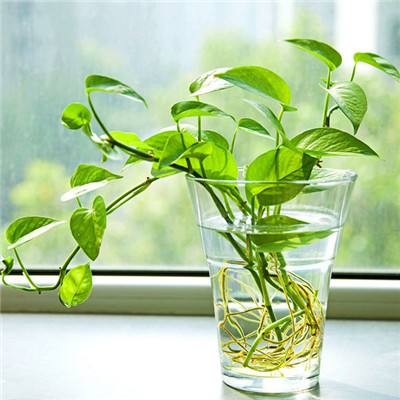 兰宝多码读取技术赋能医药行业，...